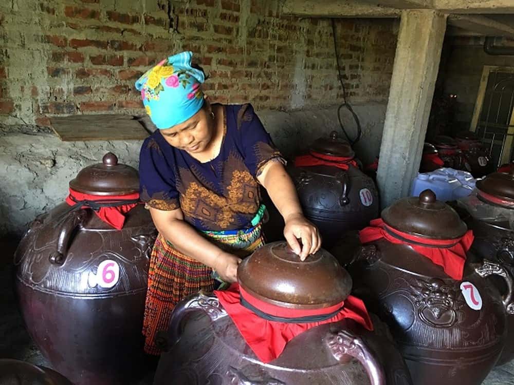 Đến Sapa khám phá ẩm thực Sapa các bạn nhớ thử món Rượu ngô Sa Pa nhé.