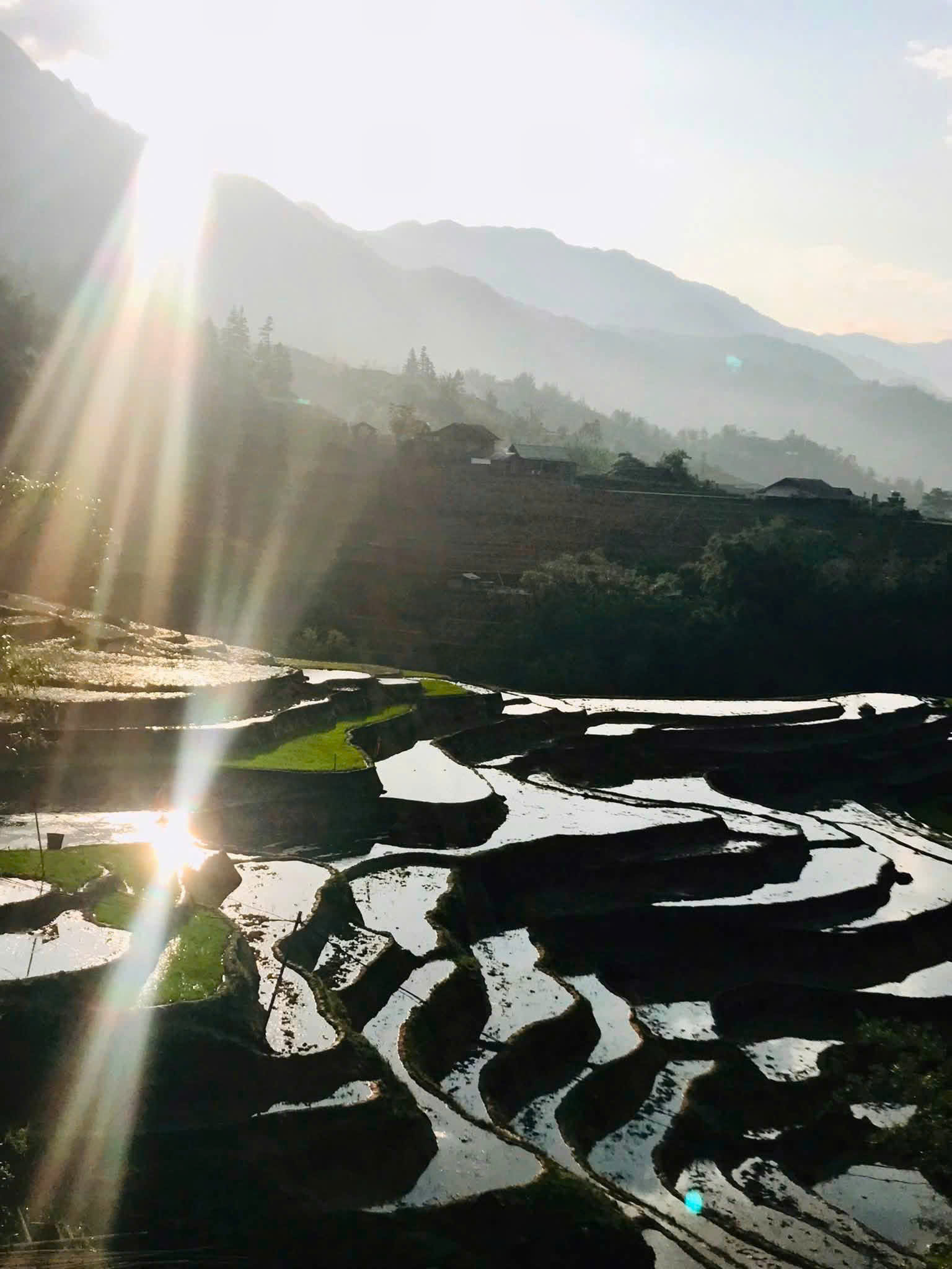 Sapa Mùa Nước Đổ 2026 – Khoảnh Khắc Đẹp Nhất Trên Những Thửa Ruộng Bậc Thang