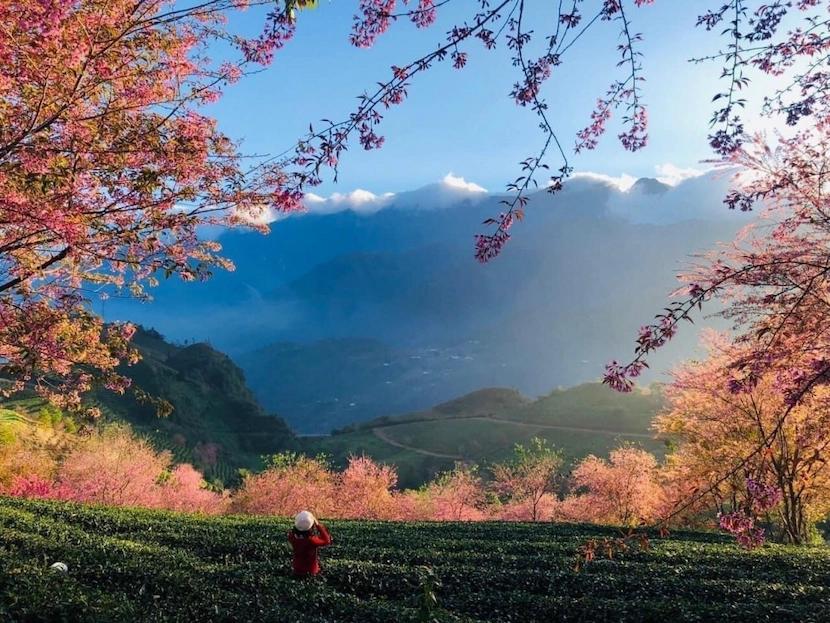 THỜI ĐIỂM ĐẸP NHẤT ĐỂ DU LỊCH SAPA