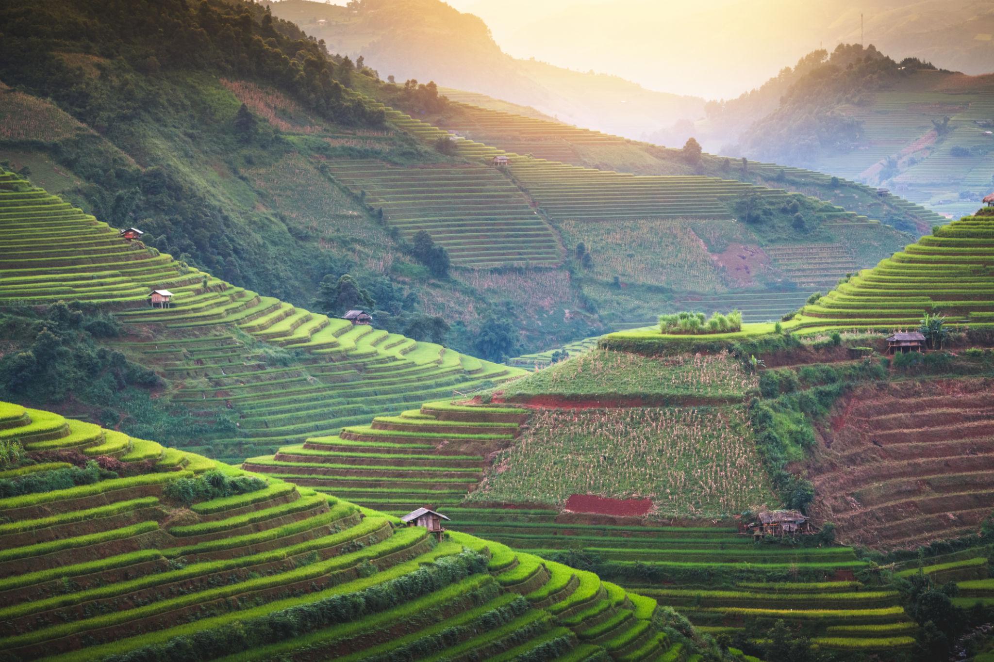 Thời điểm đẹp nhất để đi du lịch sapa, mà được ngắm ruộng bậc thang như tranh vẽ này.